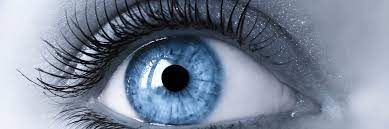 Наша компанія почала співпрацю з провідним міжнародним виробником інноваційнх систем позиціонування іммобілізації пацієнтів під час променевої терапії компанією « IT-V Medizintechnik GmbH».